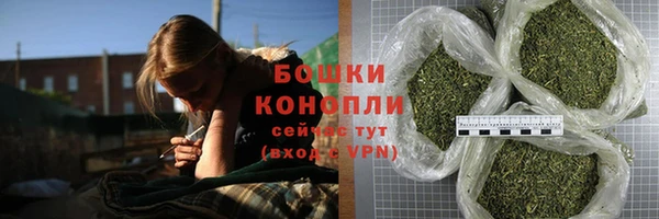 дживик Бородино