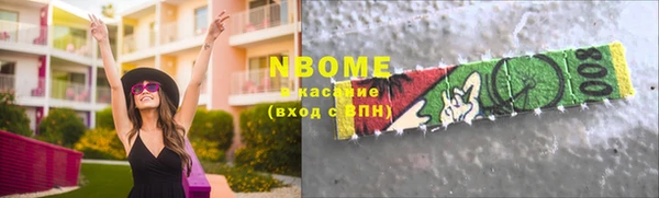 дживик Бородино