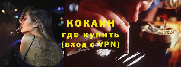 дживик Бородино