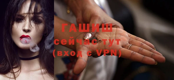 дживик Бородино