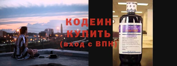 дживик Бородино