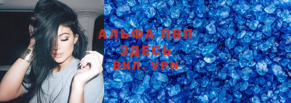 дживик Бородино