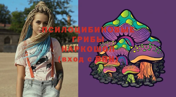 дживик Бородино
