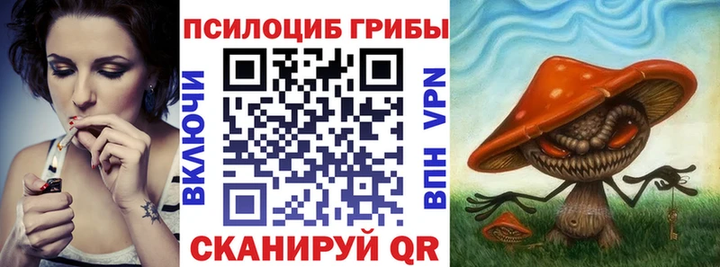 Псилоцибиновые грибы Psilocybine cubensis  наркота  Менделеевск 